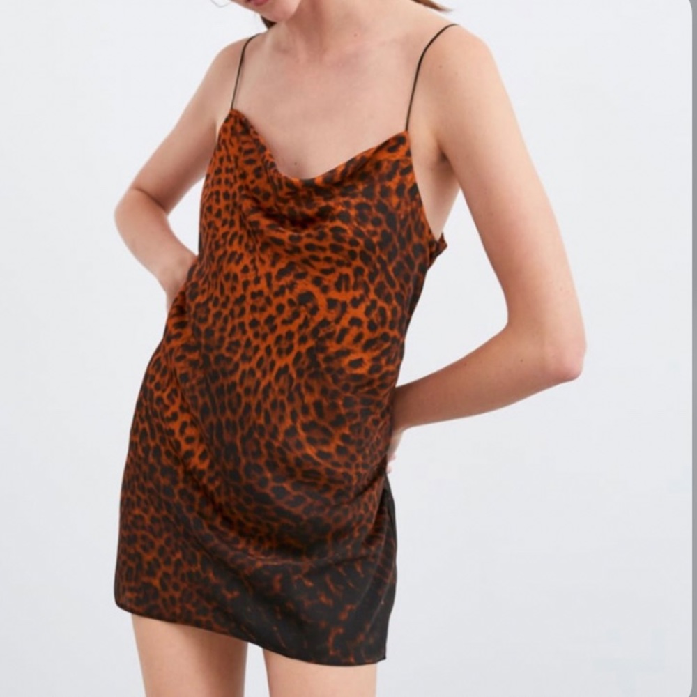 Zara leopard print satin mini dress  cowl neck